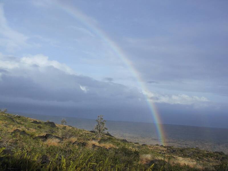 Volcano State Park, Big Island, Hawaii